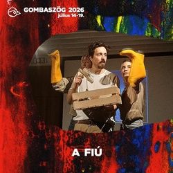 Chris McCandless igaz története alapján írta Gaál Anna - A FIÚ